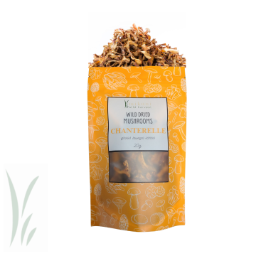 Dried Wild Chanterelle Mushrooms / 20g